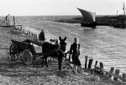 inge morath donau rumänien