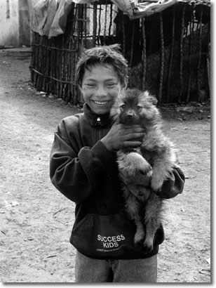 kurt kaindl svinia roma