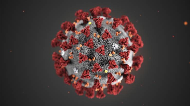 covid corona virus